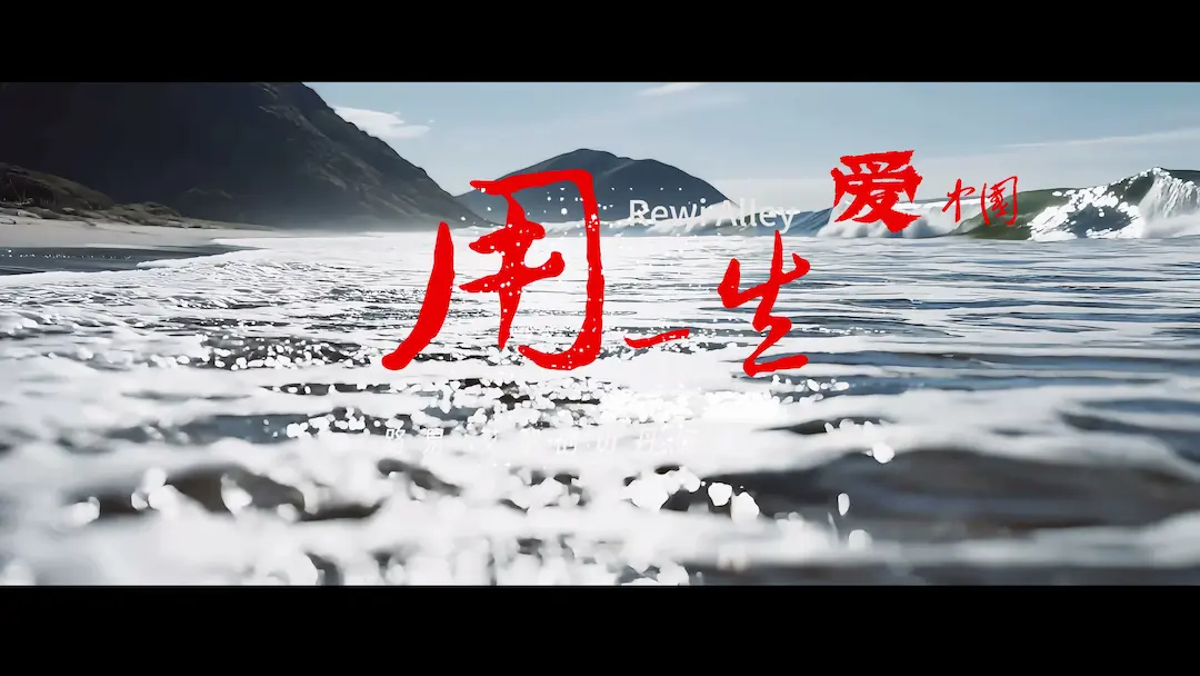 用一生爱中国项目预览